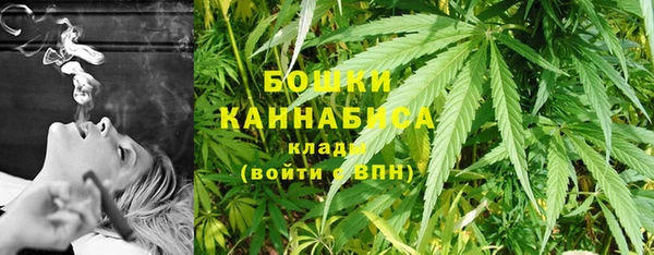 Альфа ПВП Мегион