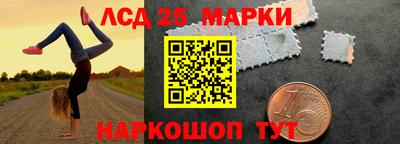ешки Гай