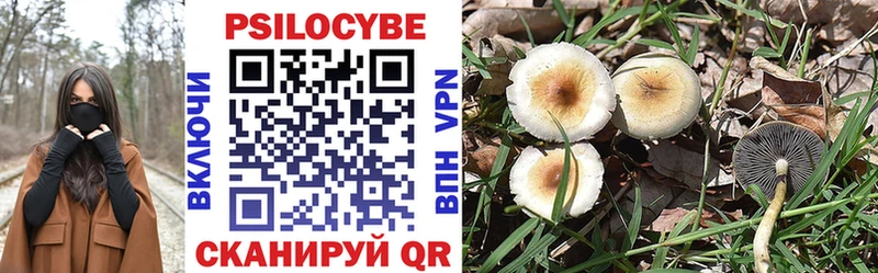 где купить наркотик кракен зеркало Галлюциногенные грибы Cubensis Новомосковск