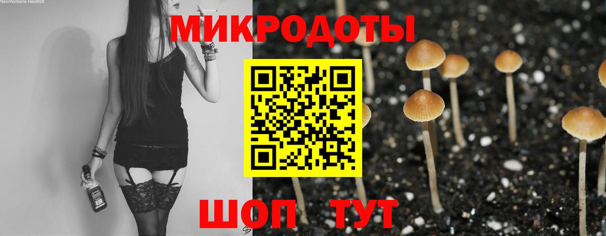 Псилоцибиновые грибы Cubensis  где купить наркоту  Вход с VPN  Новомосковск  Галлюциногенные грибы MAGIC MUSHROOMS 
